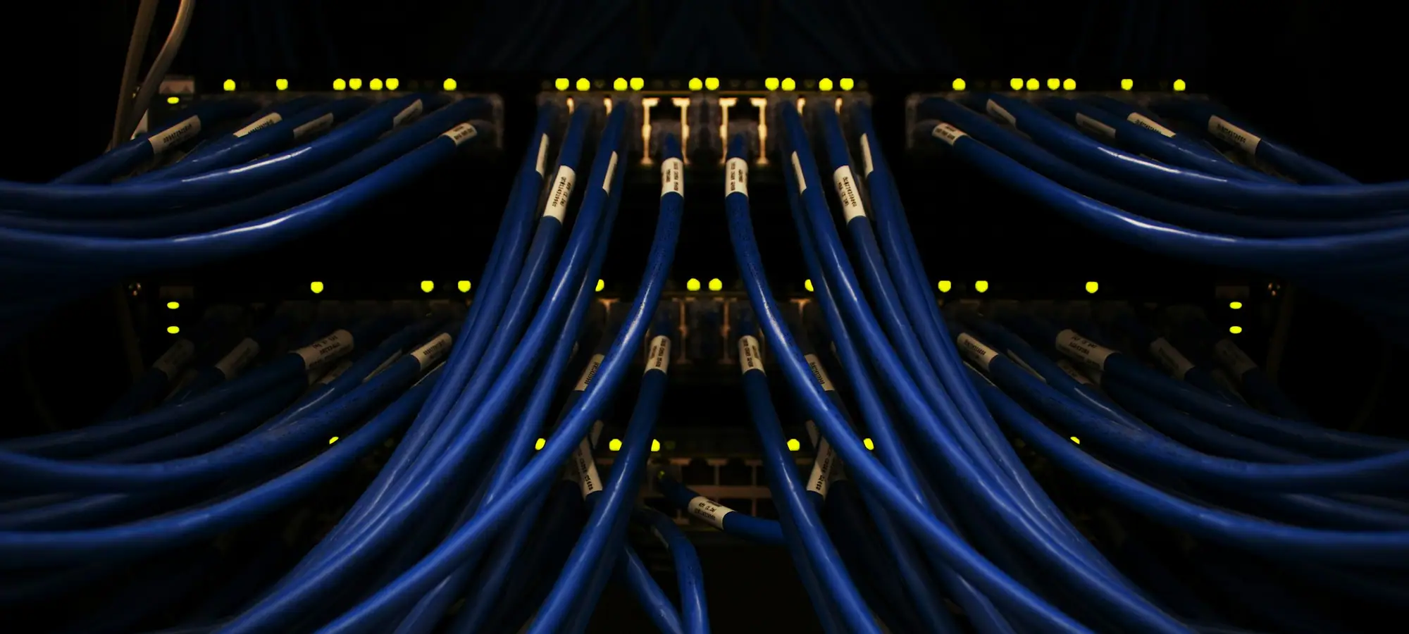 Network cables connected into a switch