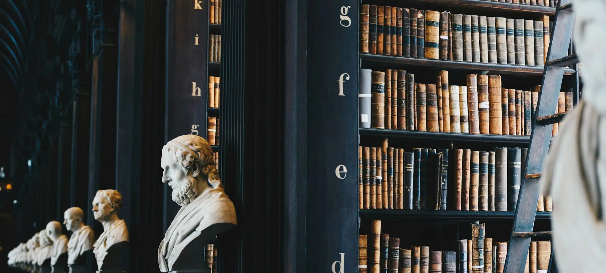 Law library with marble busts and leather-bound books