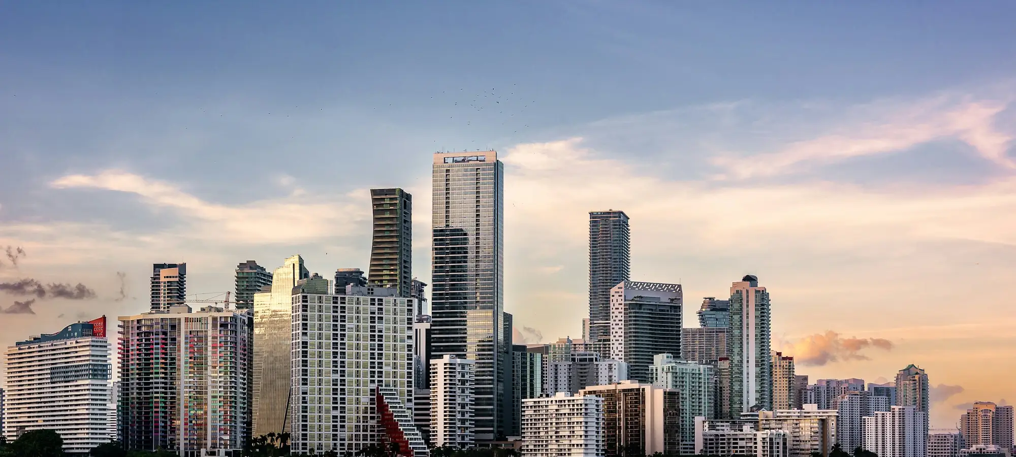 Miami skyline across the water