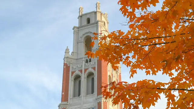A campus tower in New Haven framed by autumn leaves