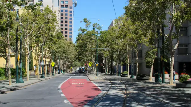Tree-lined street in downtown San Jose, California