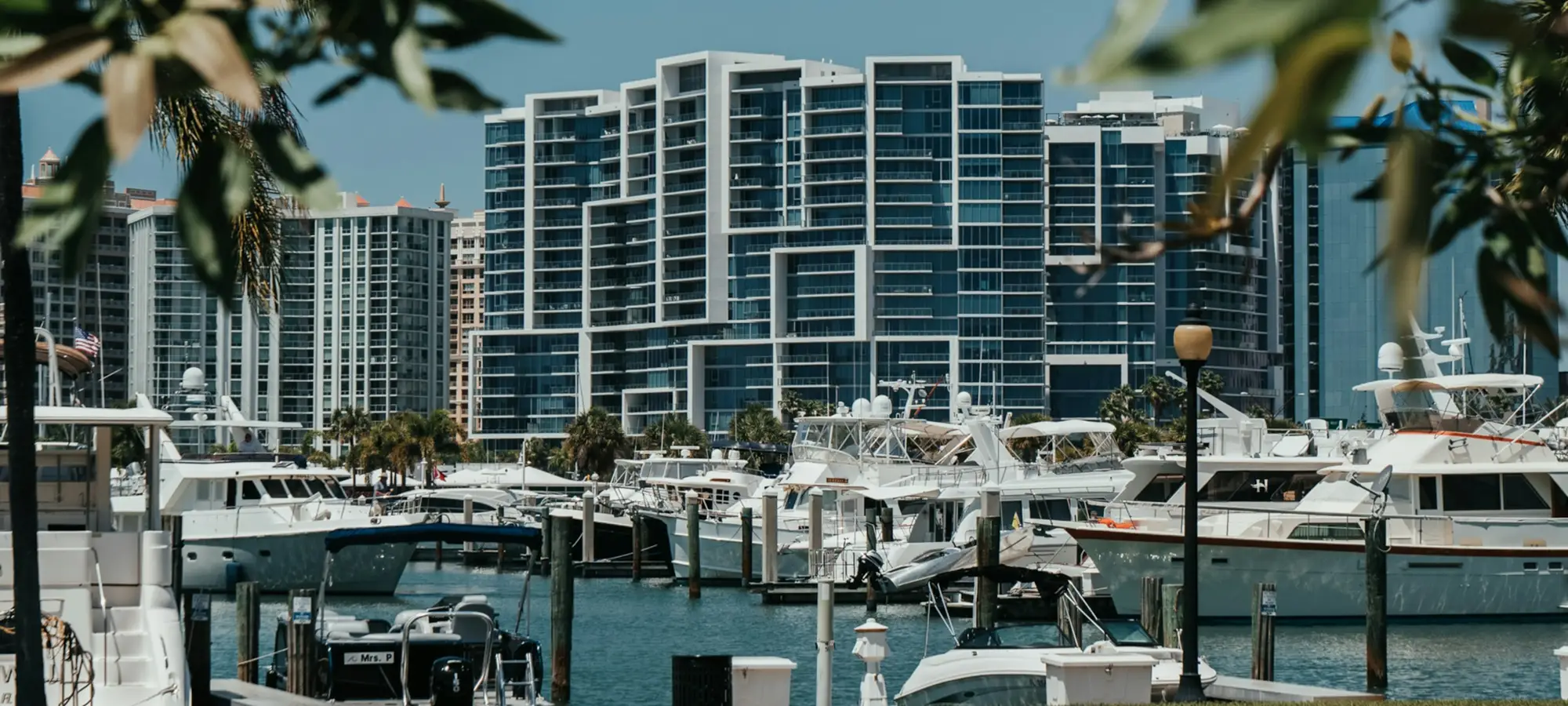 Sarasota bayfront marina and downtown towers
