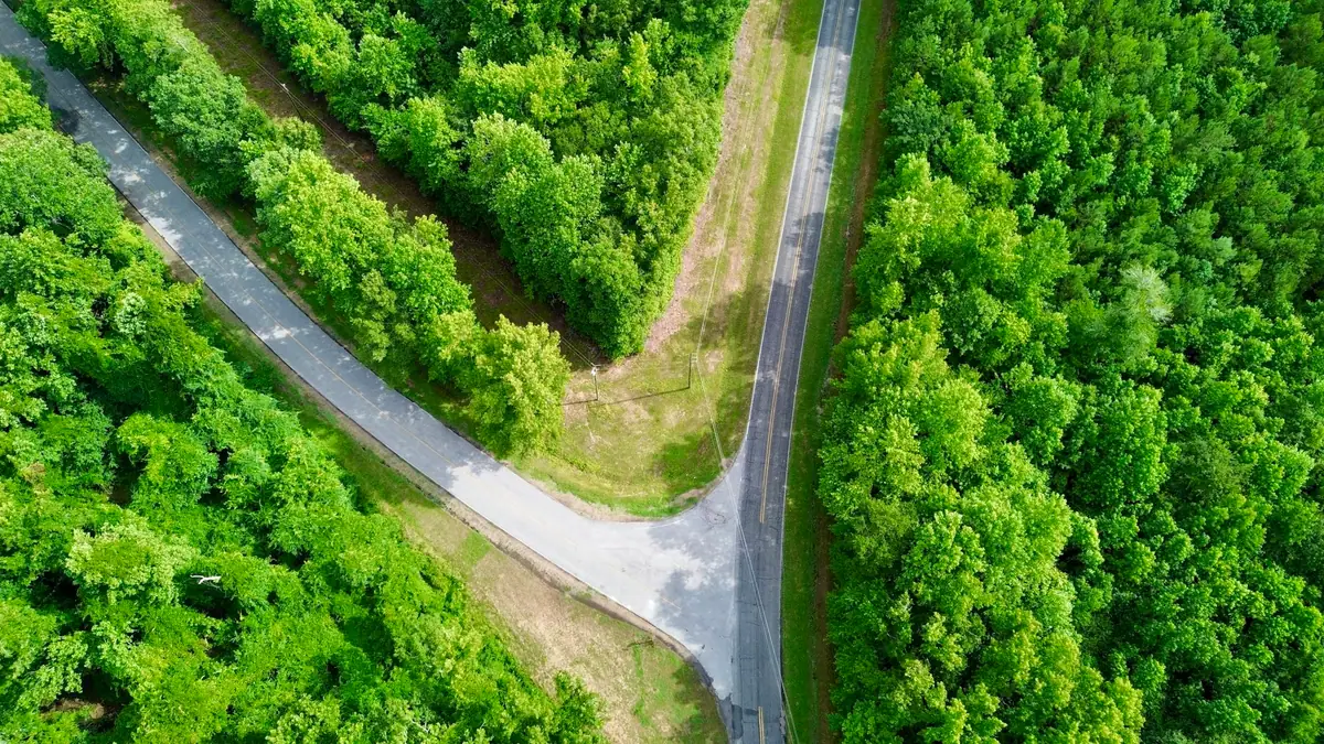 Aerial view of a road splitting in two through a forest