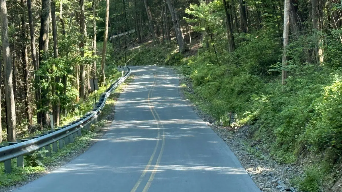 Forest road lined with a guardrail