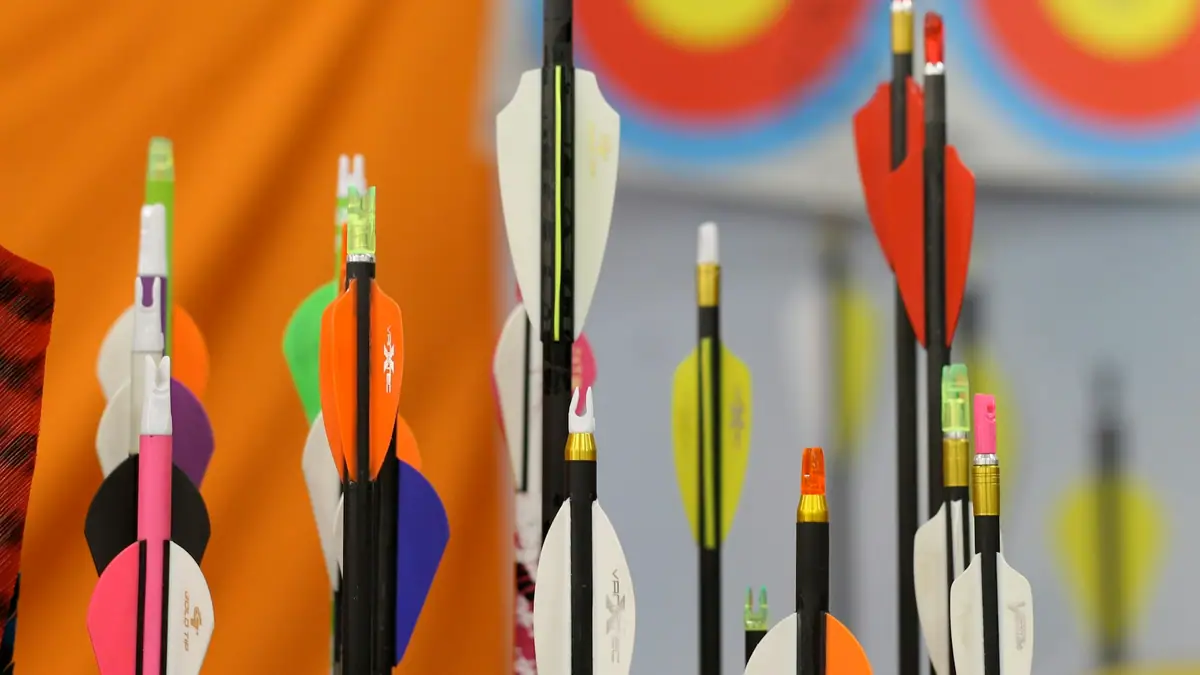 Colorful arrows in front of an archery target