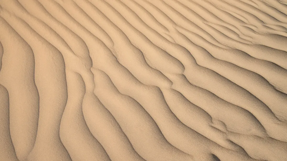 Wind-formed ripples across sand