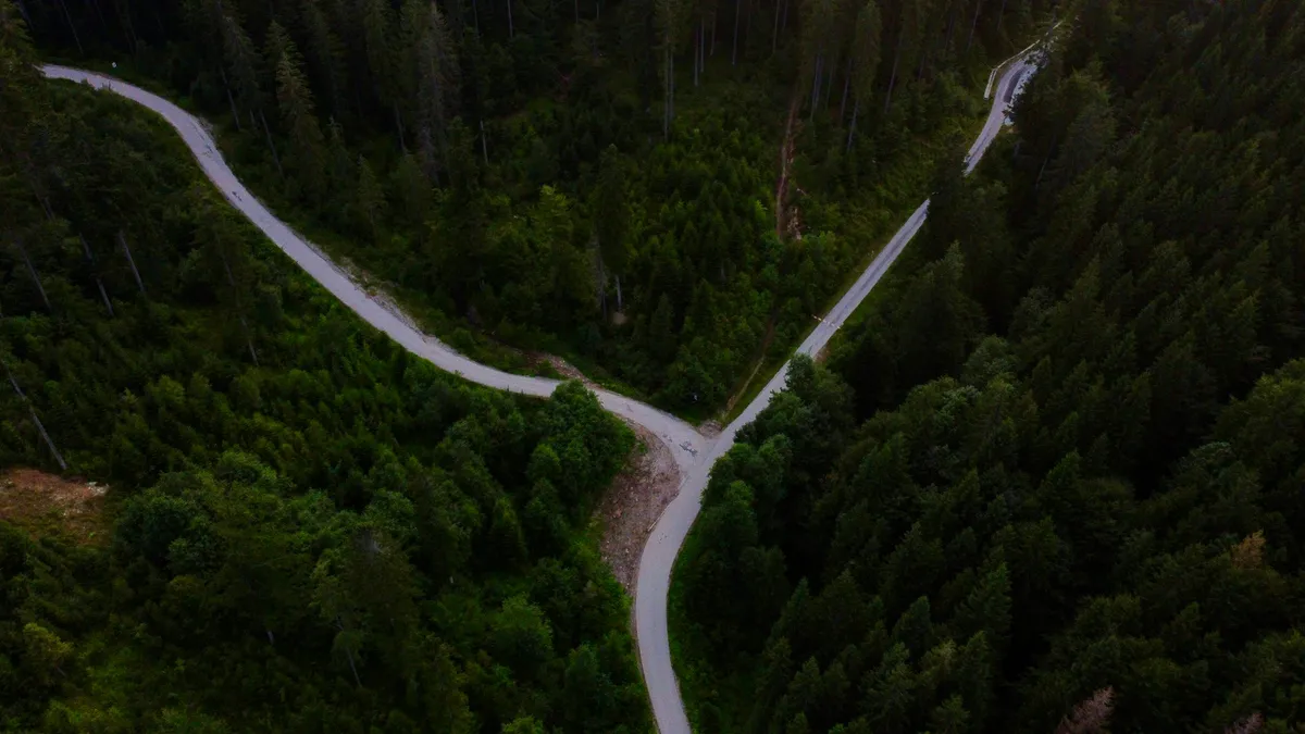 Aerial view of a Y-shaped road junction through a pine forest
