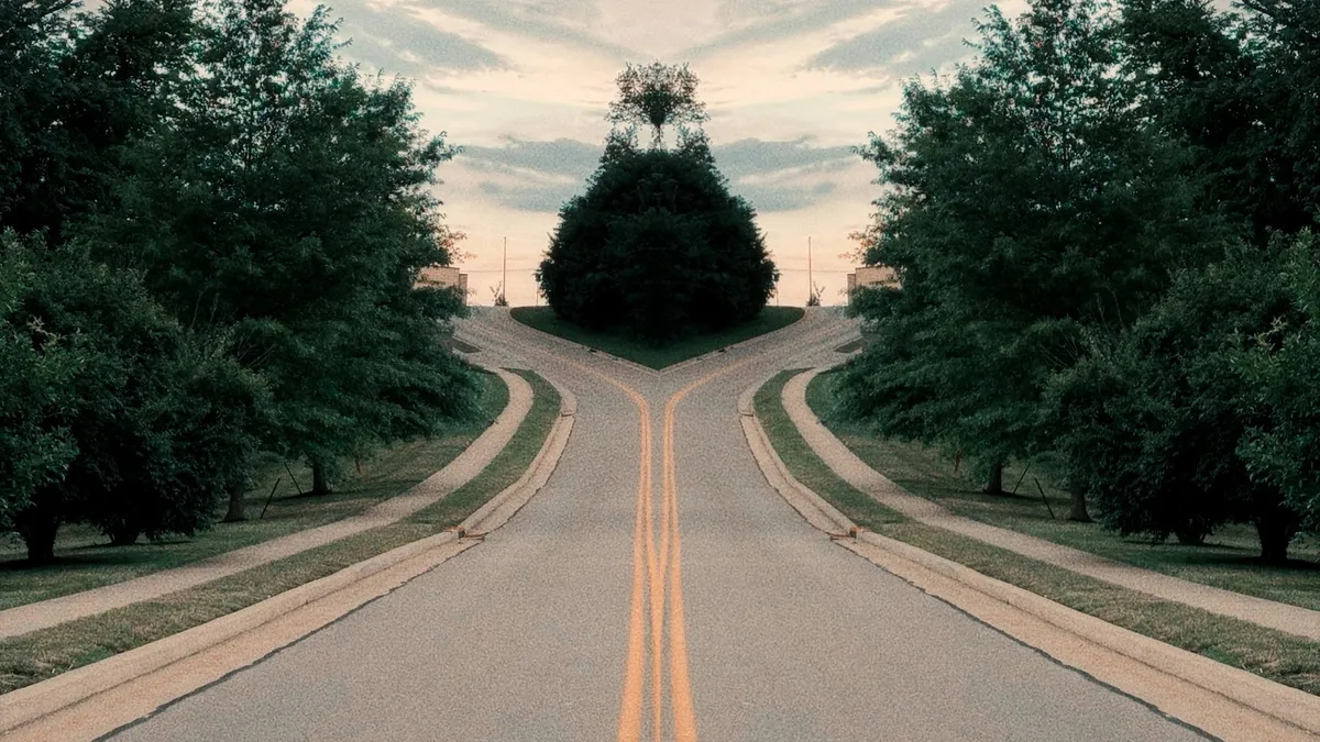 Tree-lined road splitting into two paths